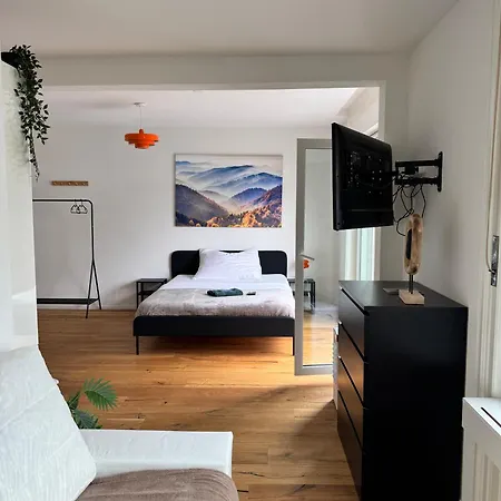 Zentrales St Gallen An Der Olma St. Gallen