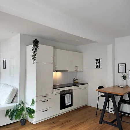 Zentrales St Gallen An Der Olma