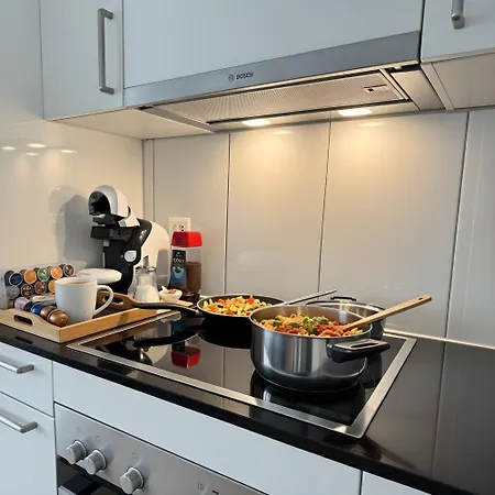 Zentrales St Gallen An Der Olma