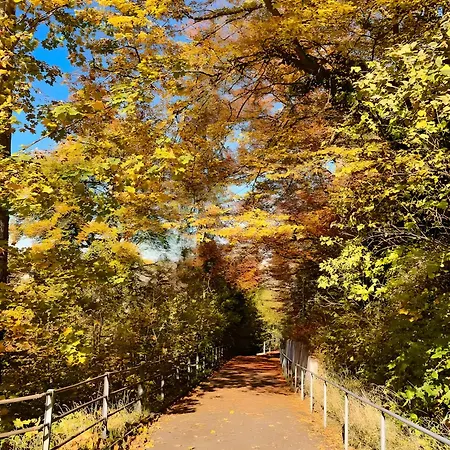 Zentrales St Gallen An Der Olma