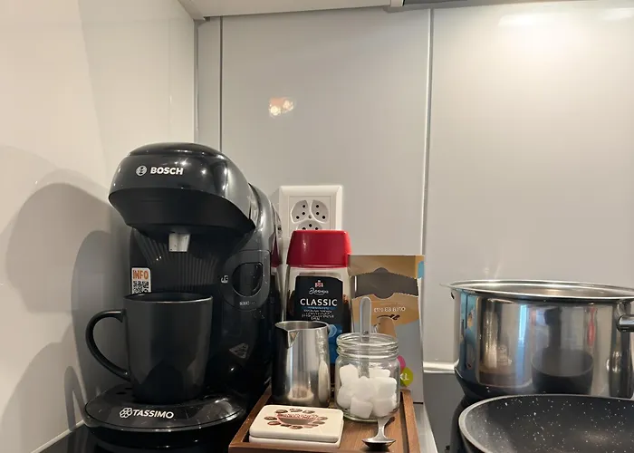 Zentrales St Gallen An Der Olma St. Gallen