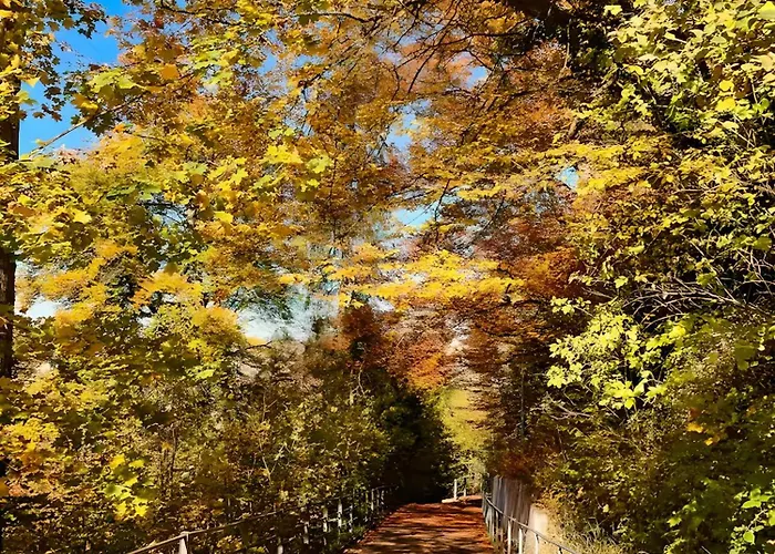 Zentrales St Gallen An Der Olma